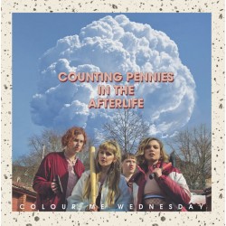 Colour Me Wednesday ‎– Counting Pennies In The Afterlife LP